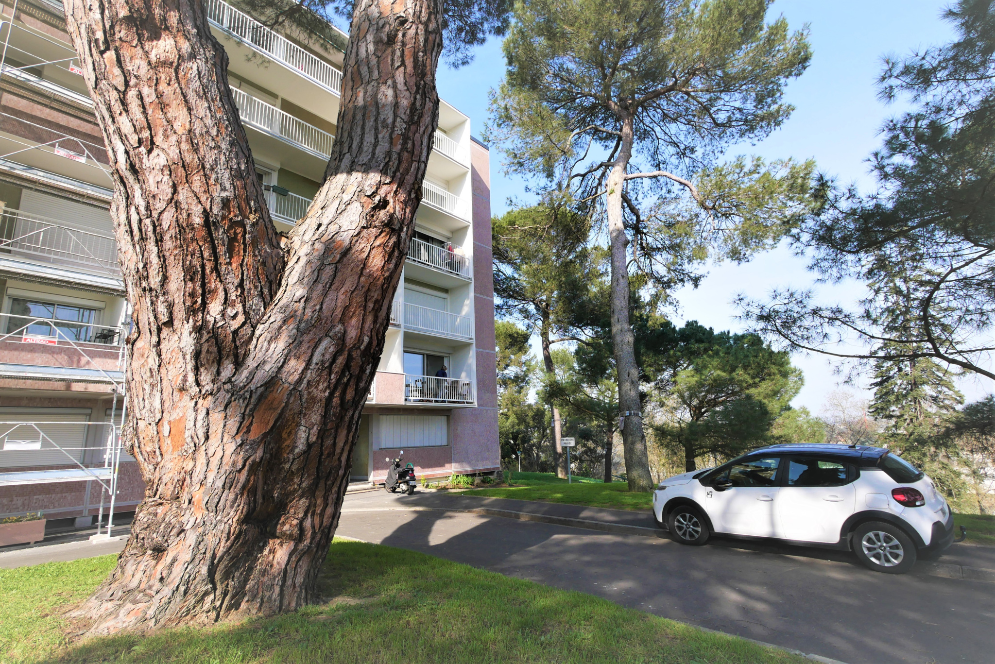 vente TOULOUSE ANCELY | Agence Palomar